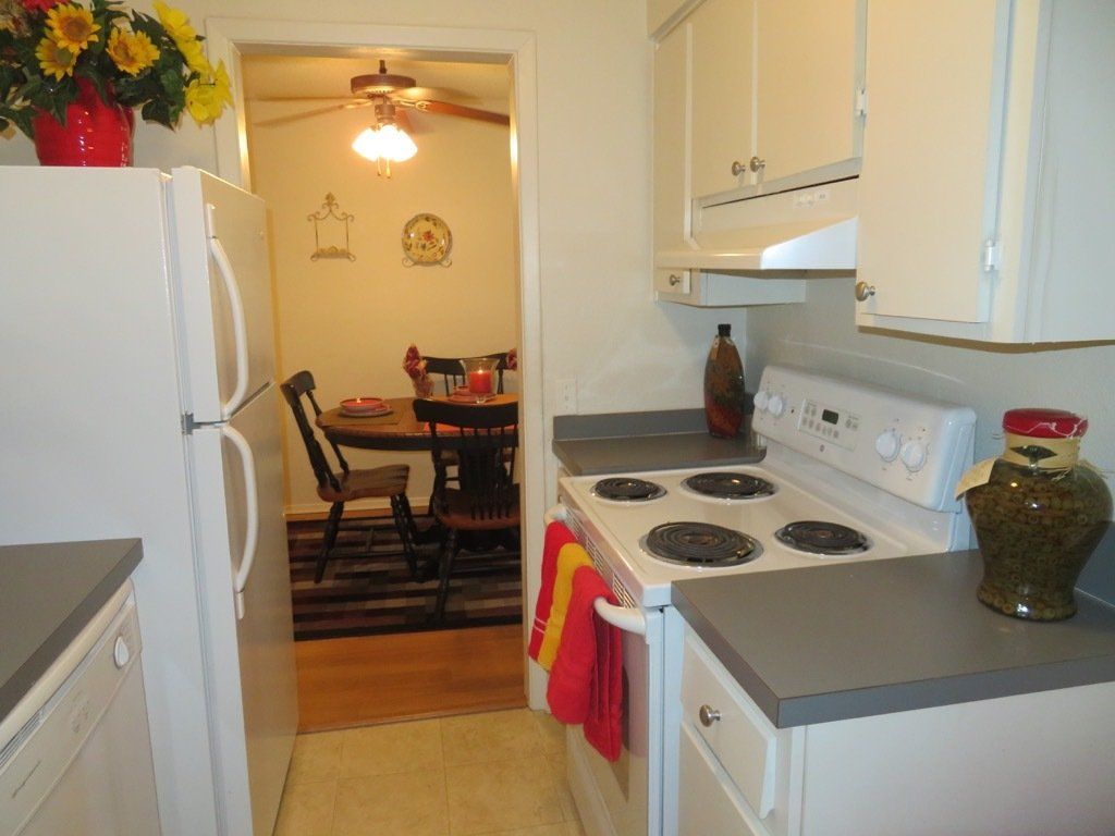 Lions Court | Amarillo, Texas