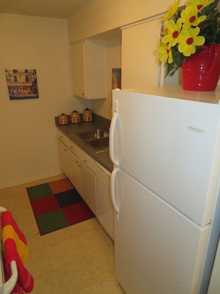 Lions Court | Amarillo, Texas