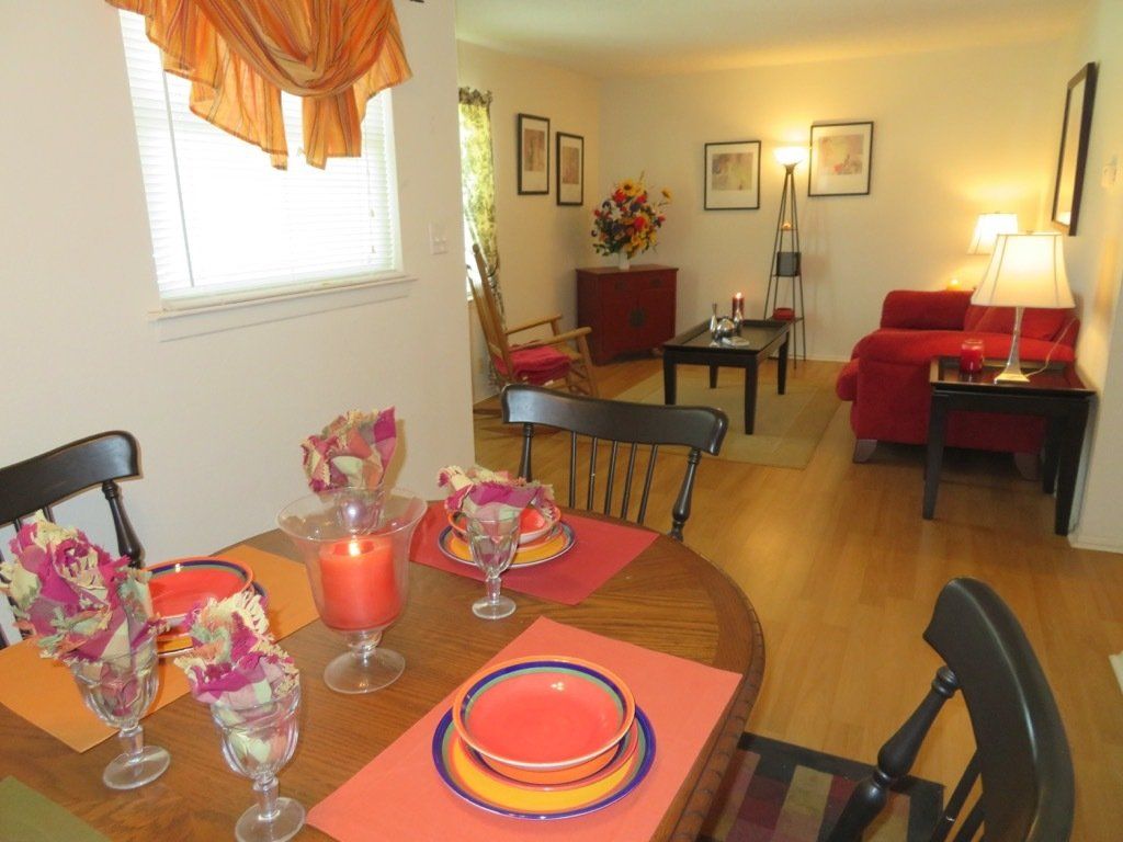 Lions Court | Amarillo, Texas