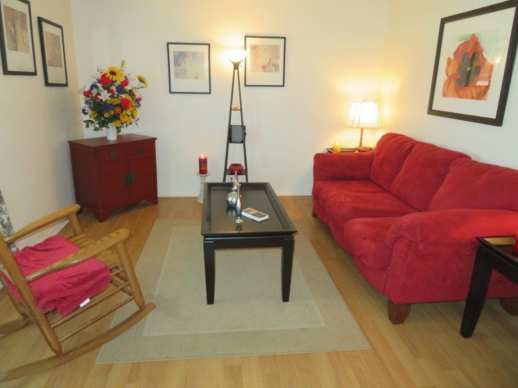 Lions Court | Amarillo, Texas