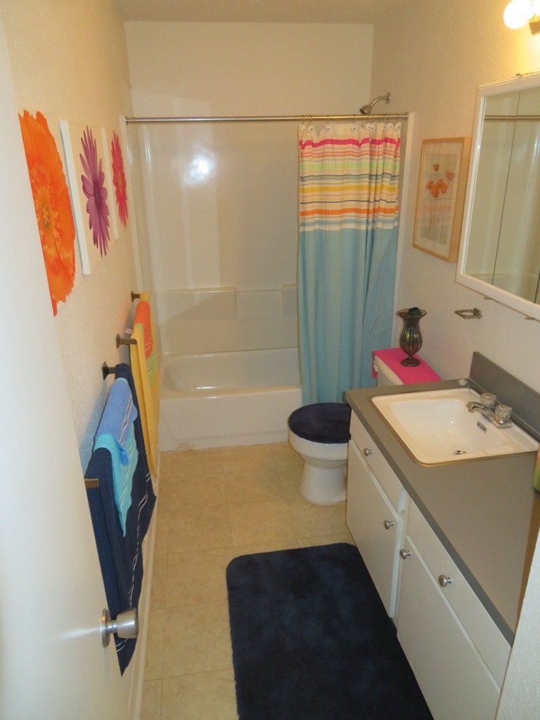 Lions Court | Amarillo, Texas