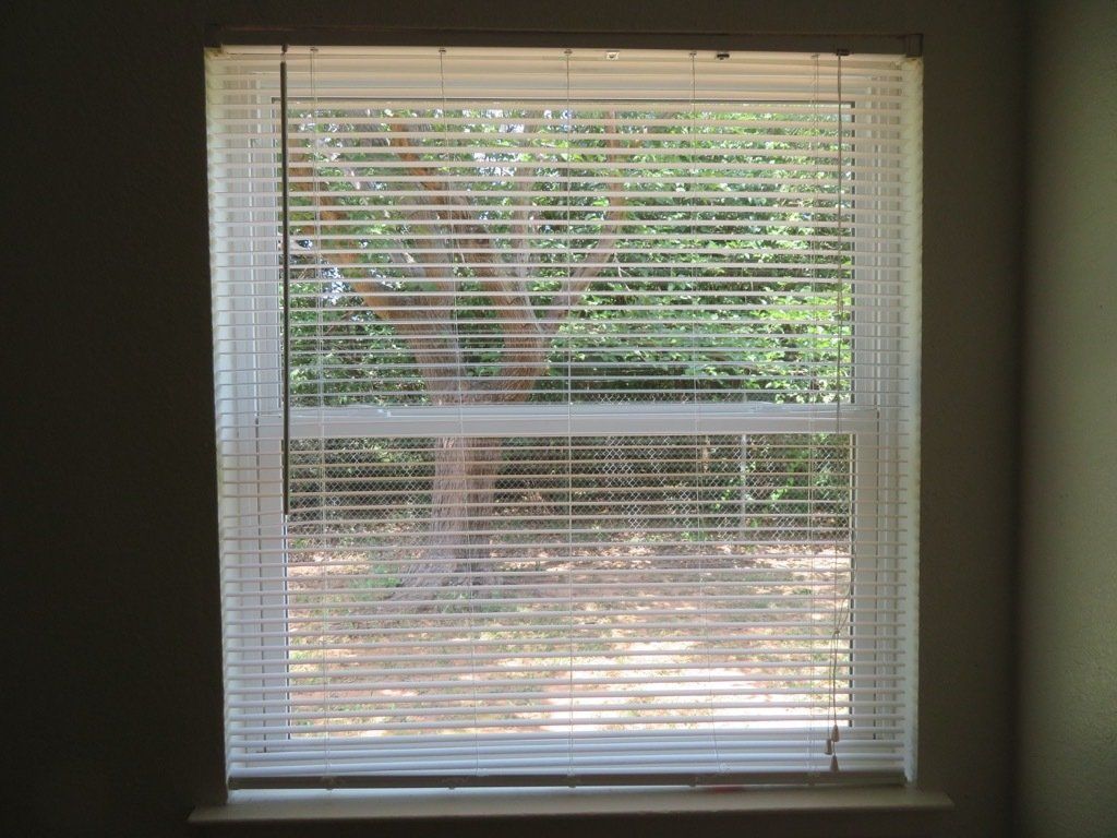 Lions Court | Amarillo, Texas