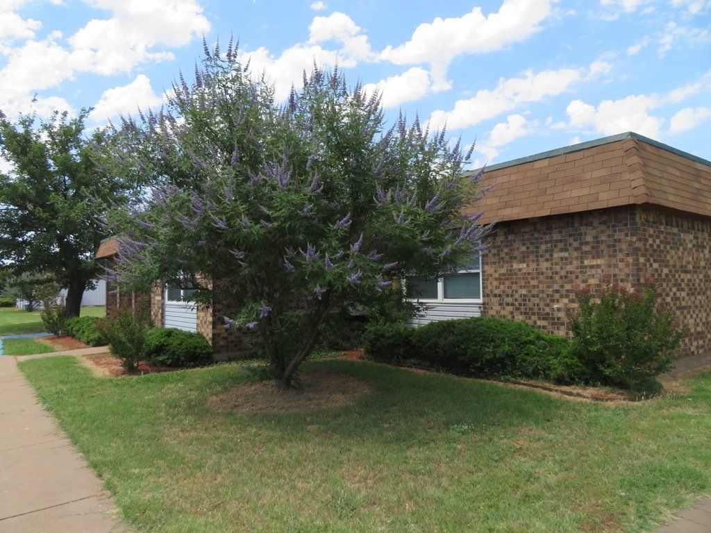 Lions Court | Amarillo, Texas