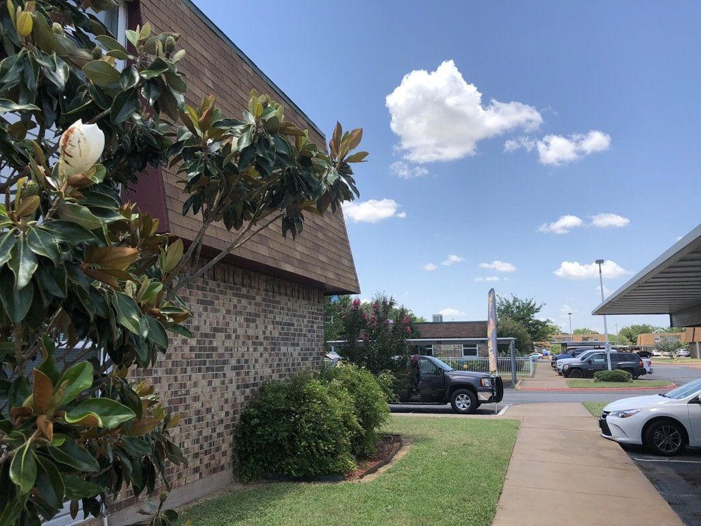 Lions Court | Amarillo, Texas