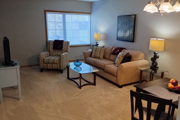 Living room in a Peterson Meadows apartment in Rockford, IL 