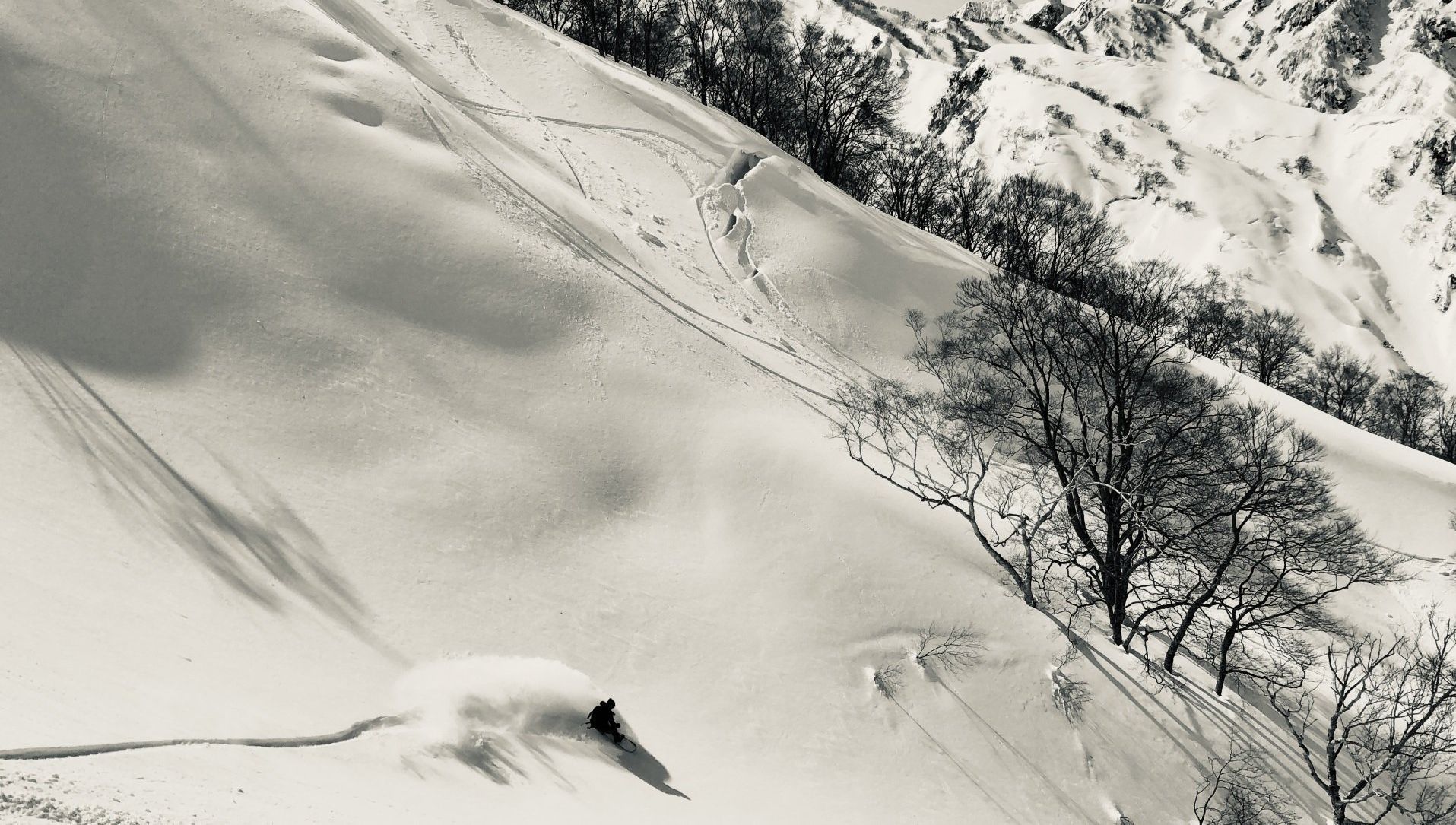 Hakuba Goryu/47  Backcountry