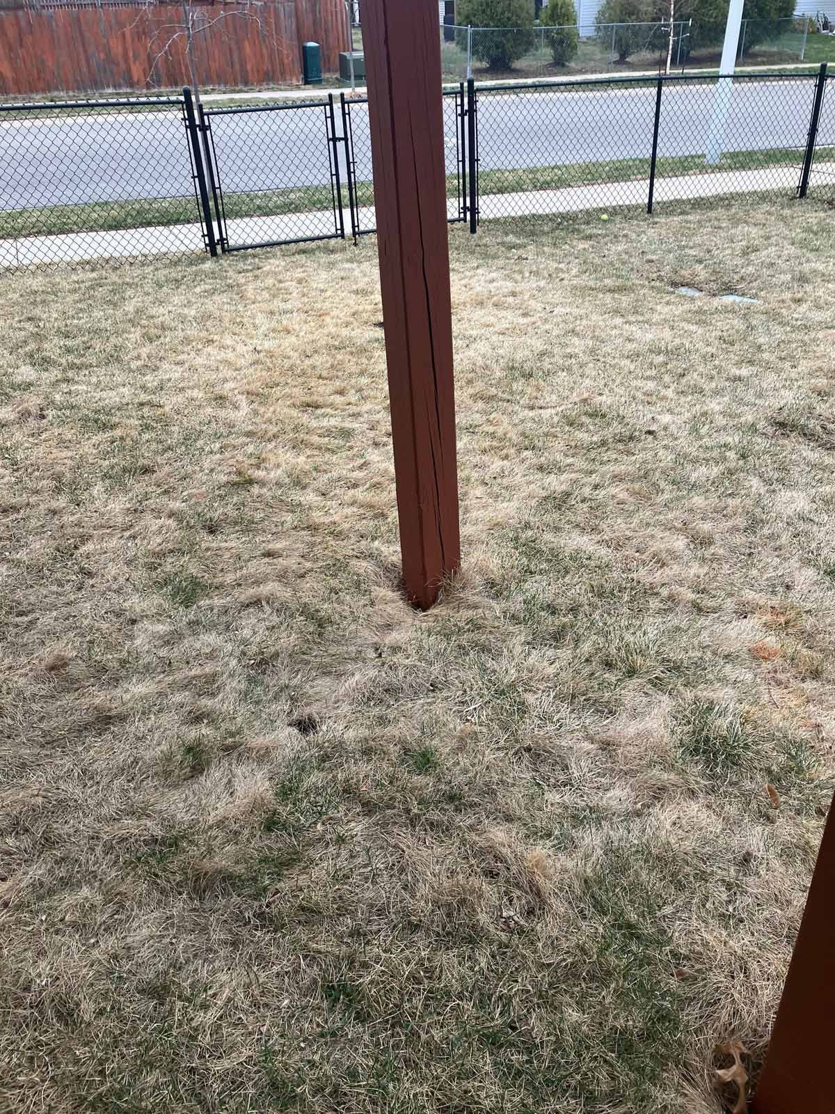 A wooden post in a yard with dry, patchy grass. A fence and street are visible in the background.