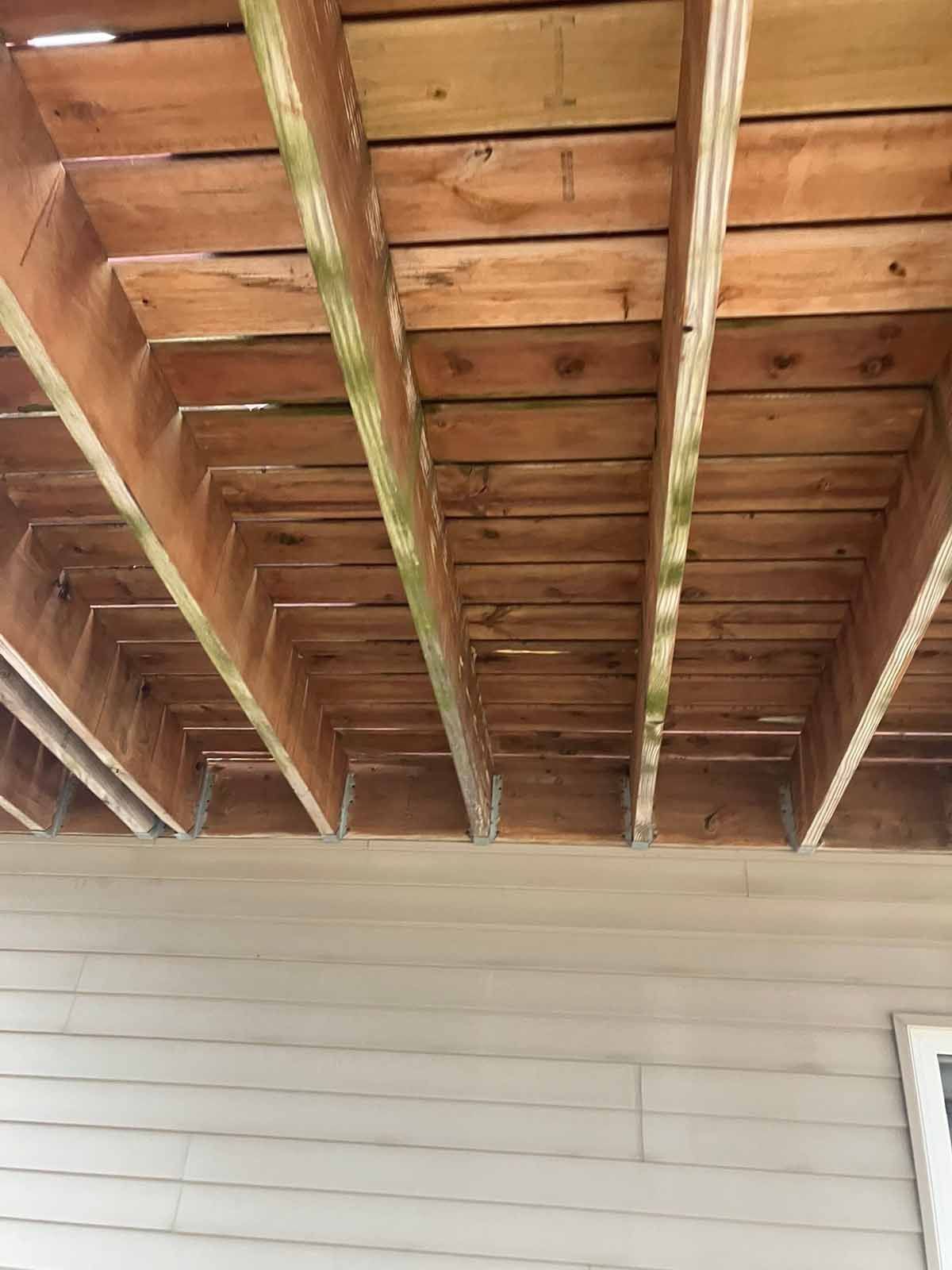 Underside view of a wooden deck. Brown deck boards and support beams. Greenish-white mold is visible. Cream siding below.