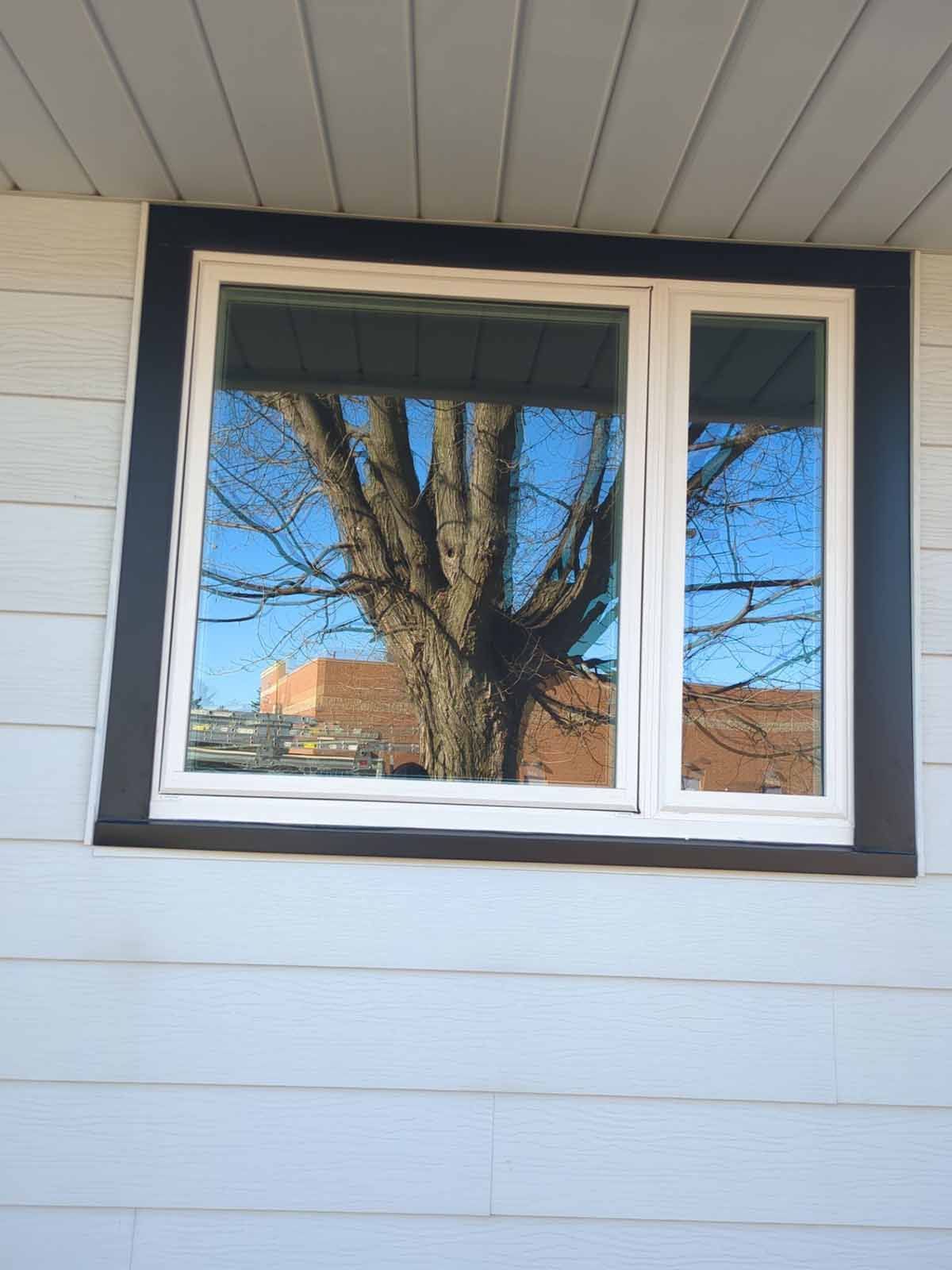 Window reflecting a bare tree and blue sky, set in a brown-trimmed white building.