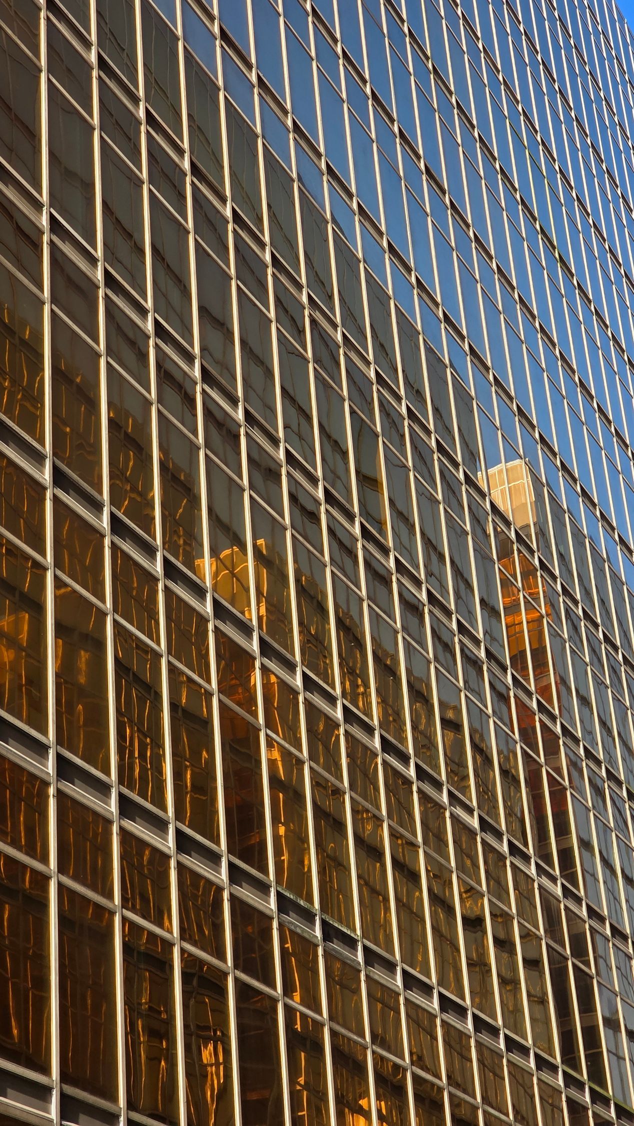 building windows