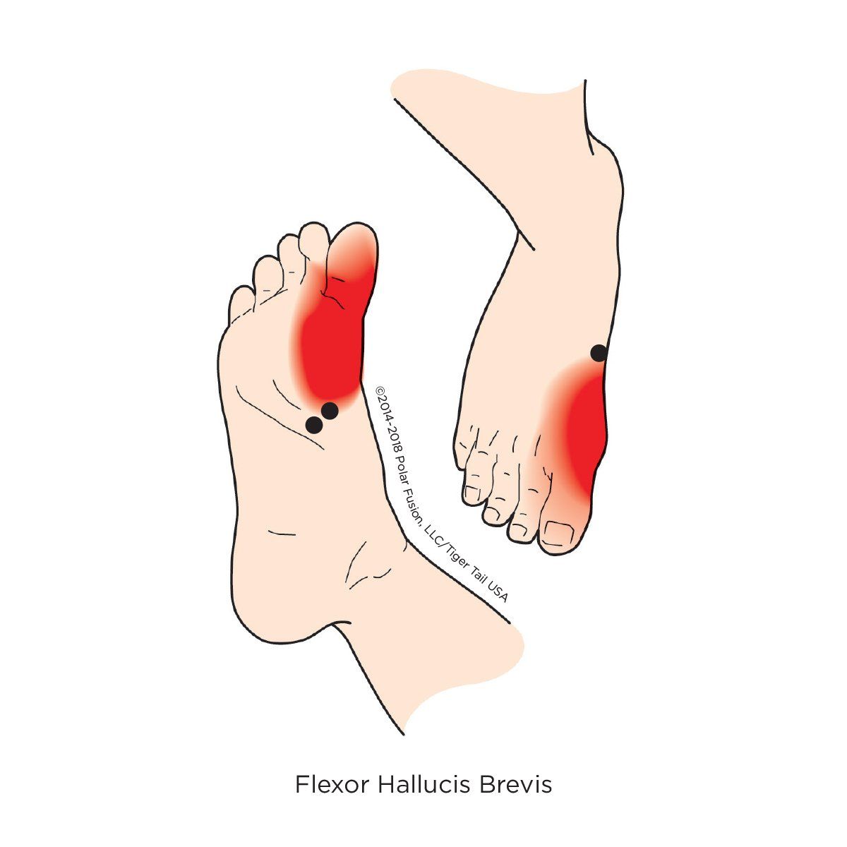 A drawing of a person 's feet with red spots on them.