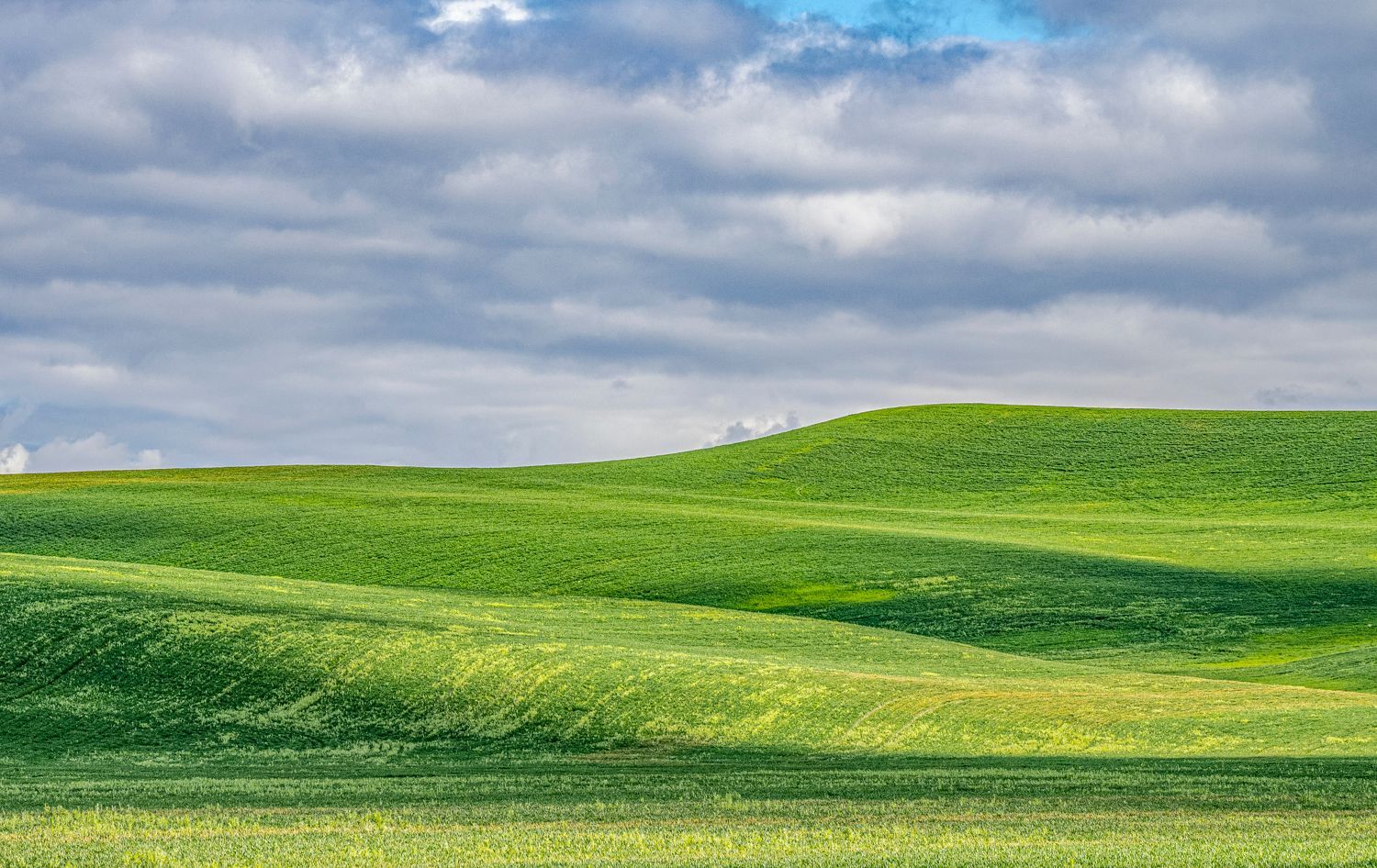 The Sights of the Palouse