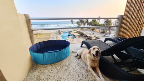 hotel con perros Acapulco