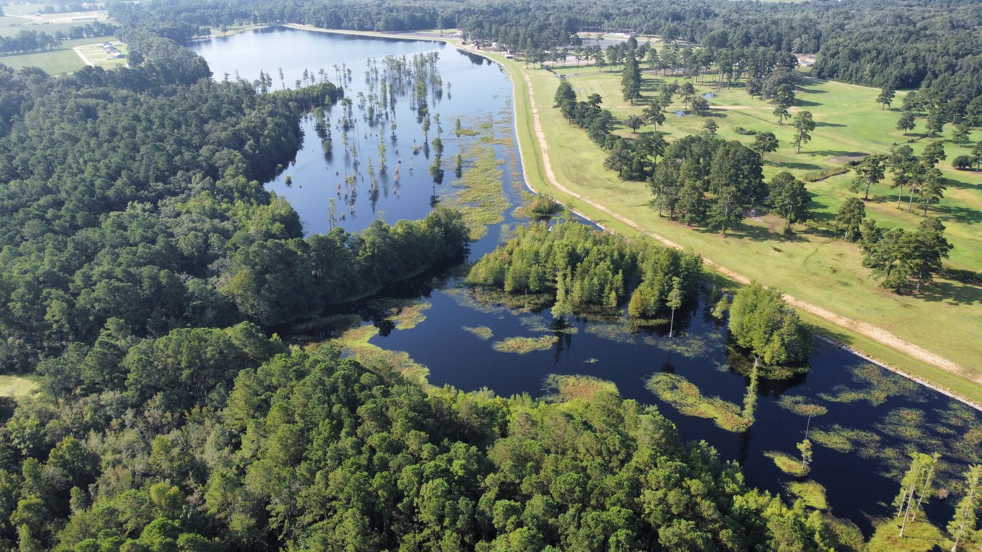 Gum Swamp looking toward the golf course