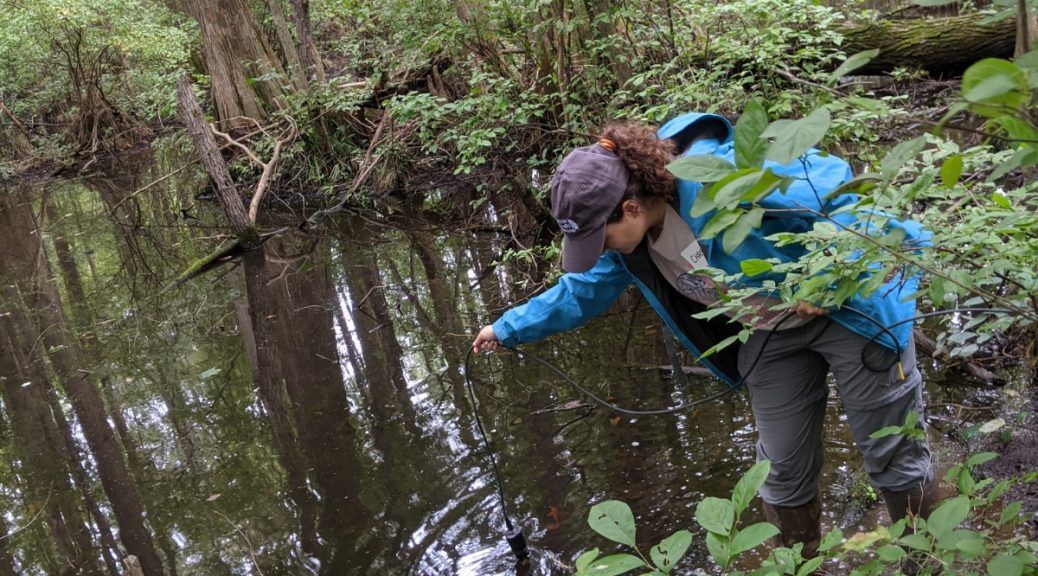 VWMP COMPLETES THIRD ROUND OF WETLAND MONITORING