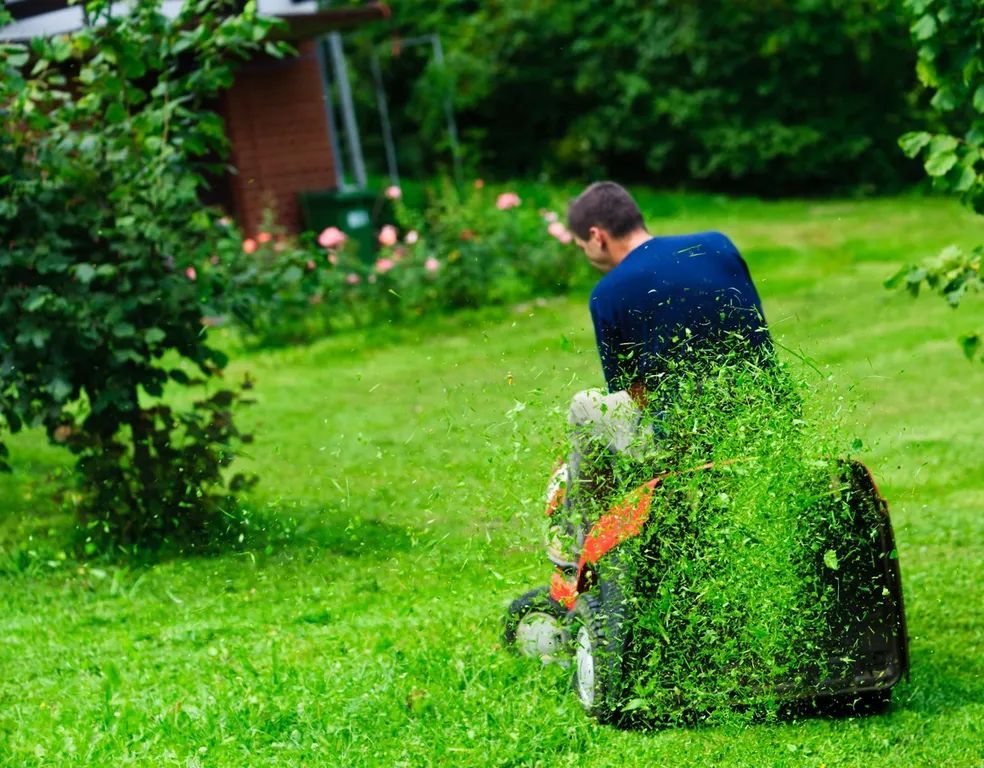 A man is mowing a lush green lawn with a lawn mower.