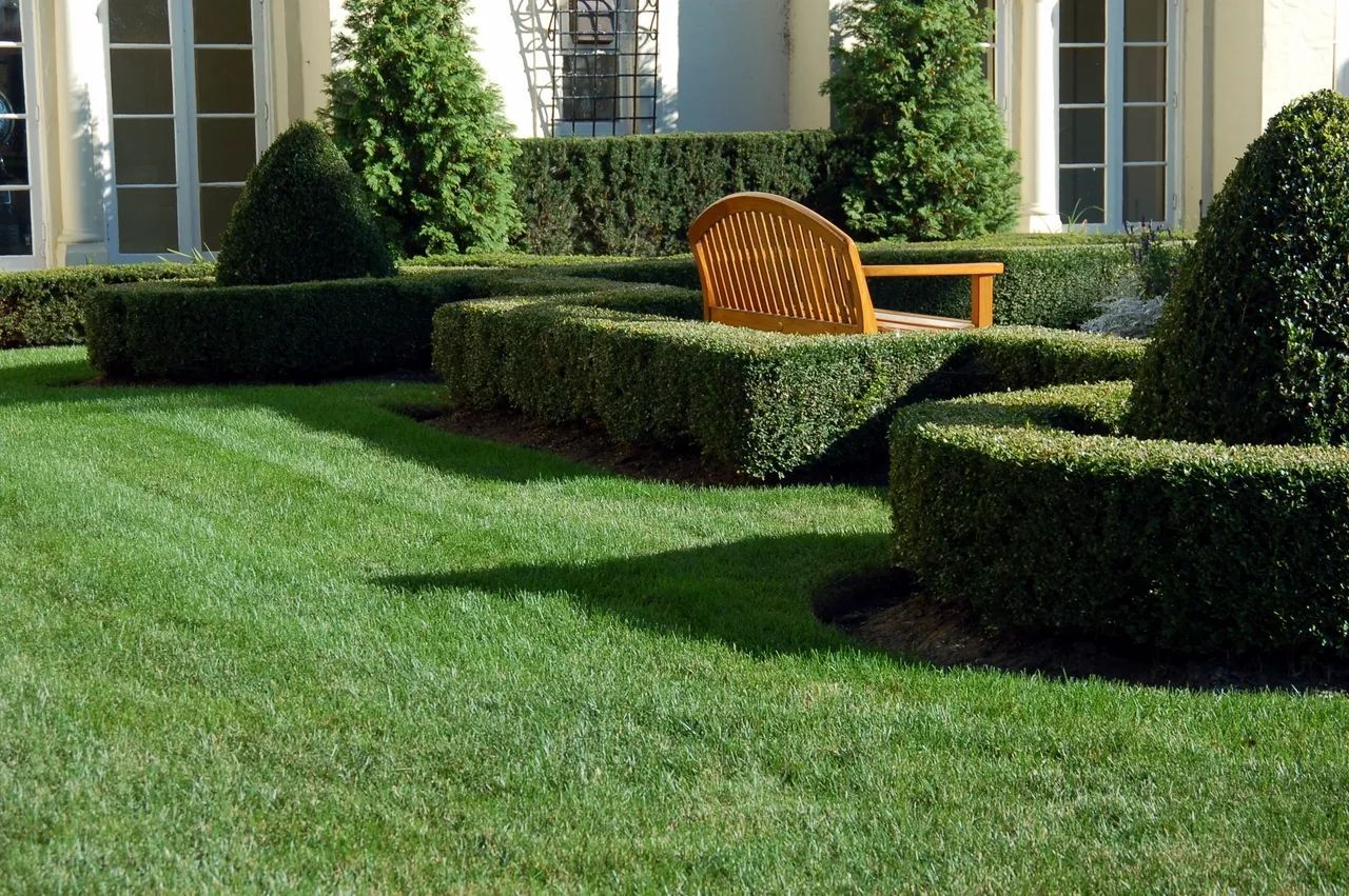 A lawn with a bench and bushes in front of a house