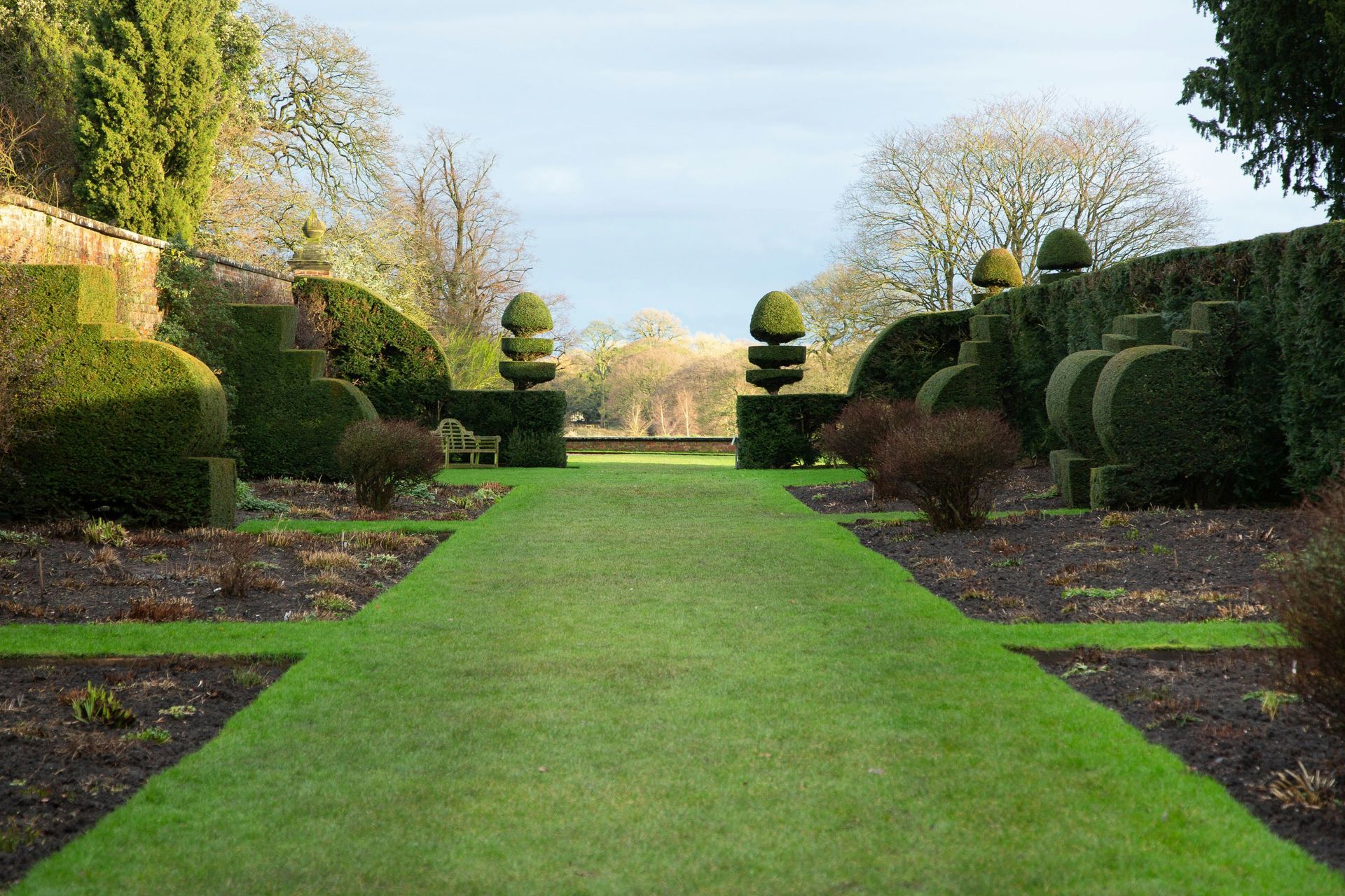 grassy lawn with bushes and hedges