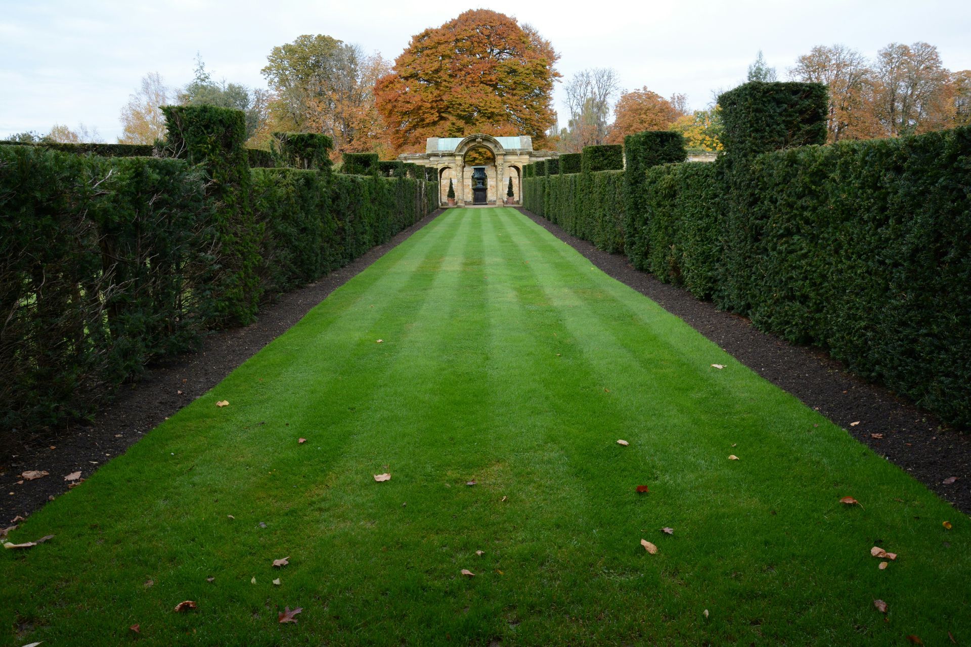 green lawn with hedges on the left and right