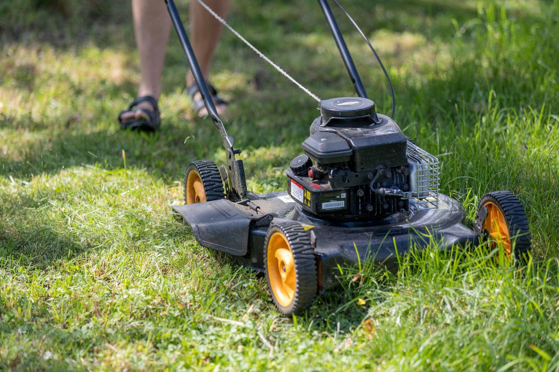 lawn mower on grass