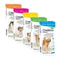 Credelio — Hayward, WI — Hayward Animal Hospital