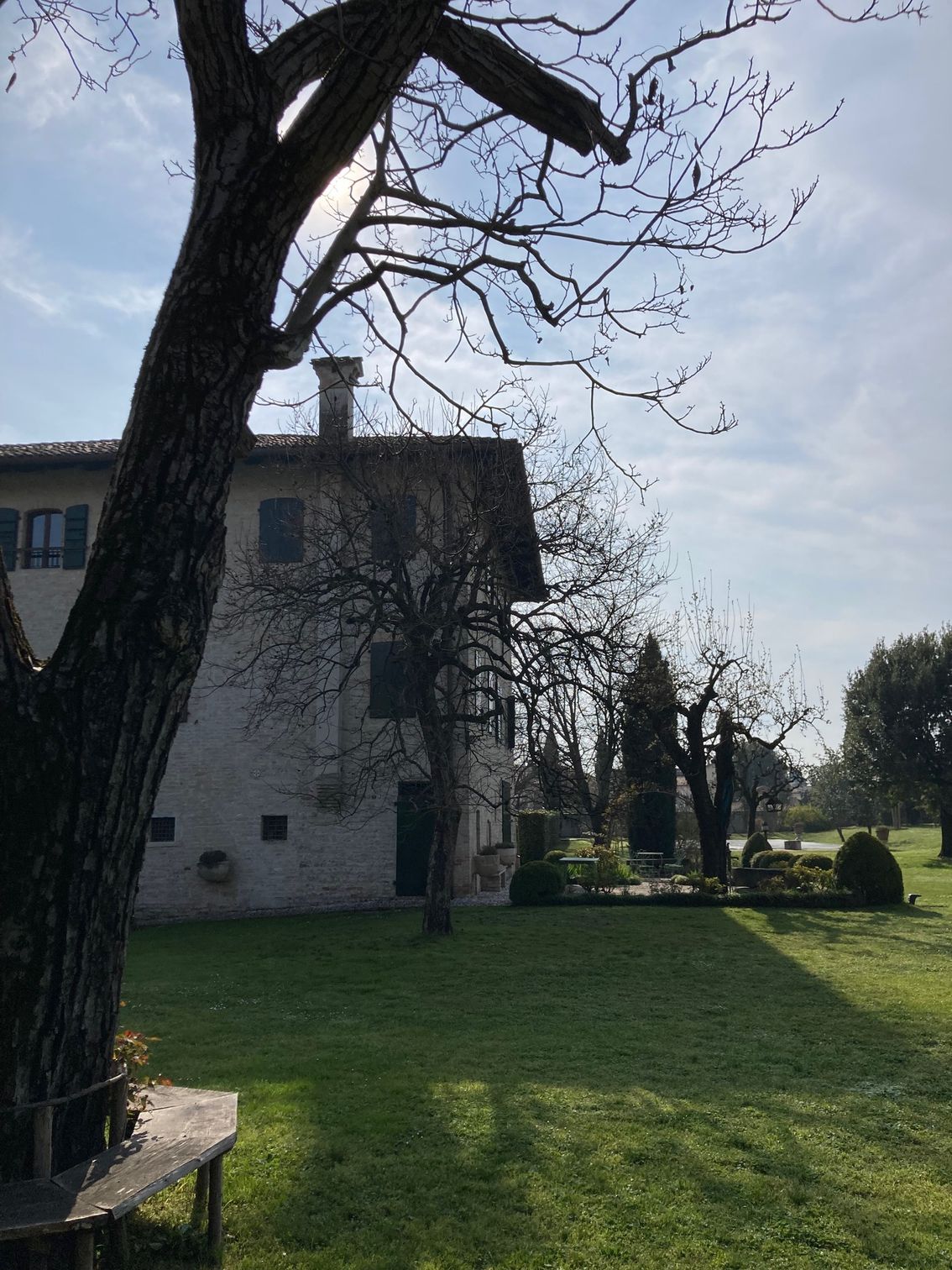Una casa con un grande prato davanti e un albero in primo piano.