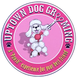 Dog Groomer in Palm Desert, CA | Uptown Dog Grooming Dog Groomer in Palm Desert, CA | Uptown Dog Grooming