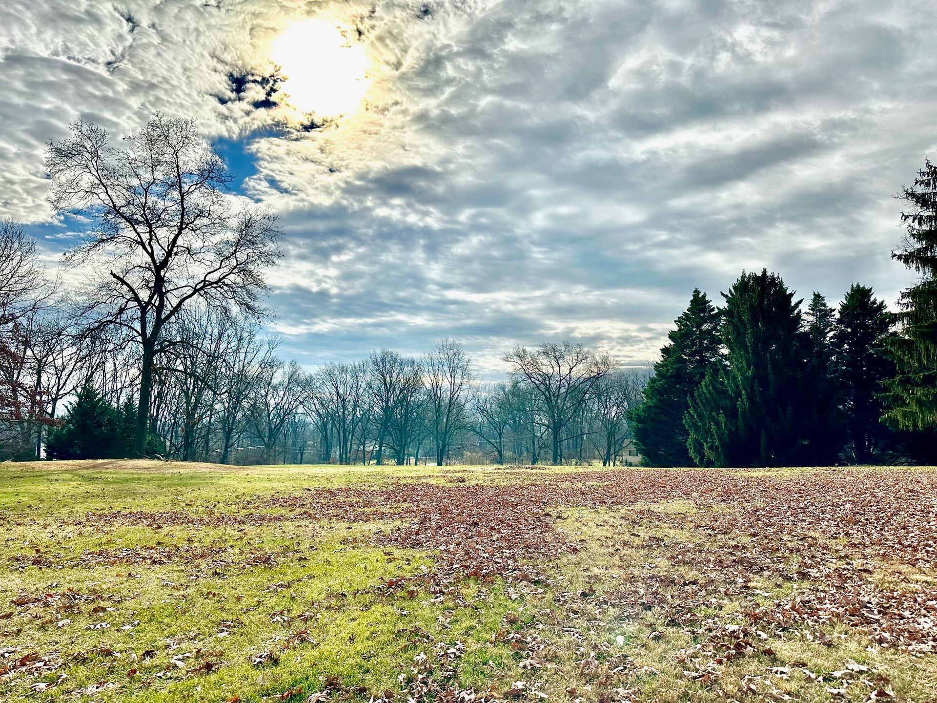 A field with trees in the background and the sun shining through the clouds.