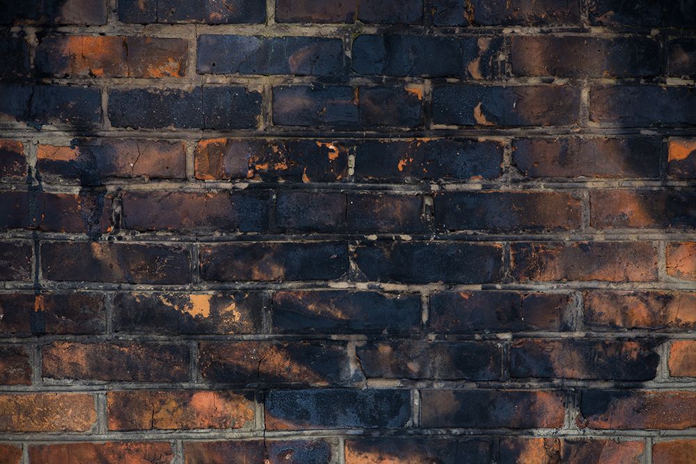 Fire & Mold Remediation