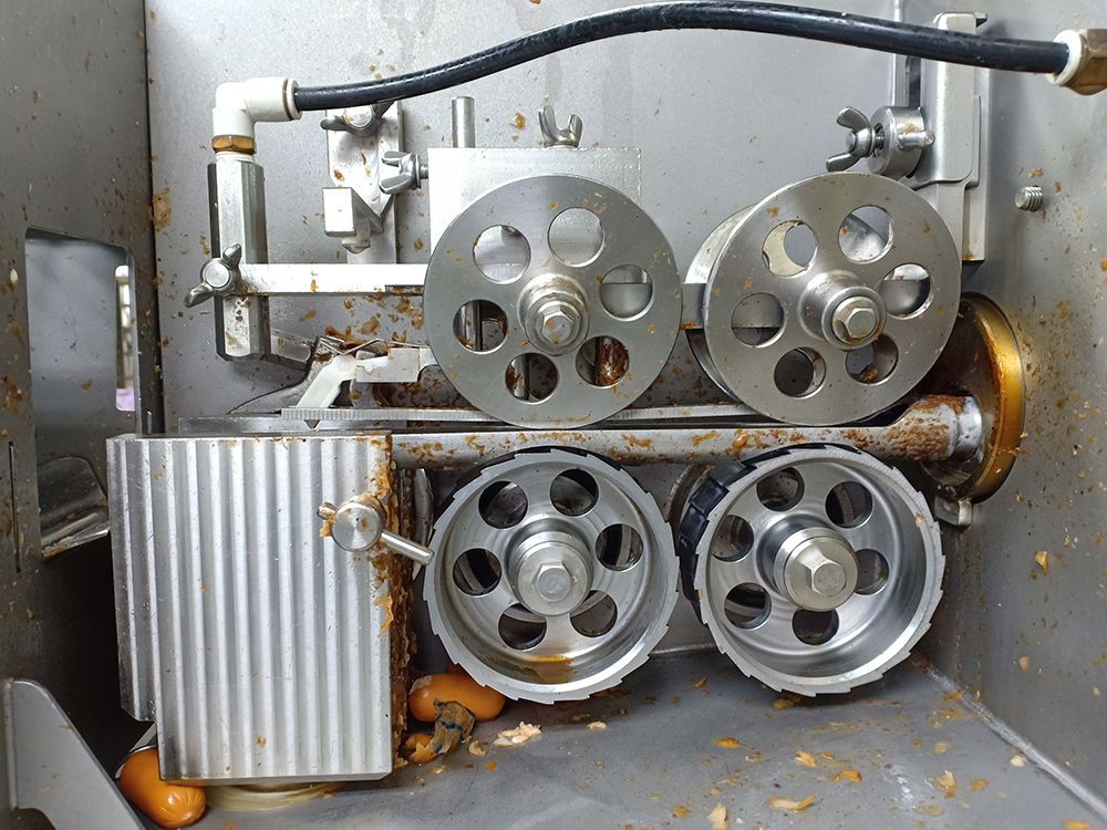 Food Processing Cleaning