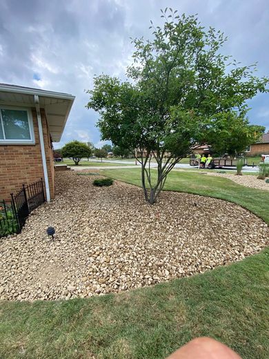 A tree surrounded by beige rocks in a landscaped yard. Brick house on the left, grassy area on the right.