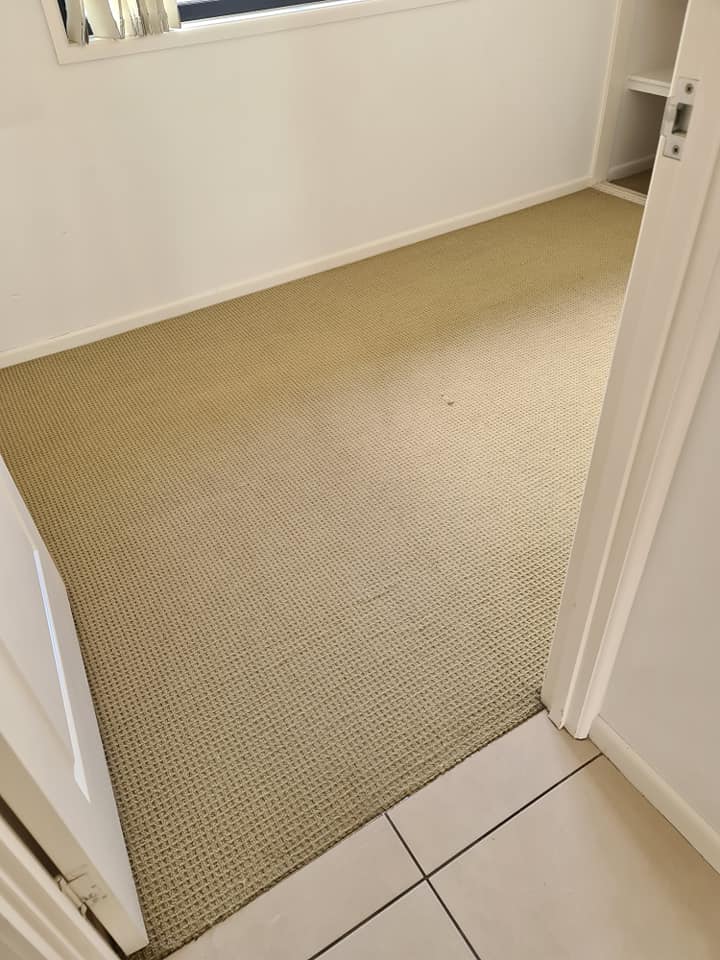 Carpet in Hallway — Magic Mist Carpet Cleaning in Yeppoon, QLD