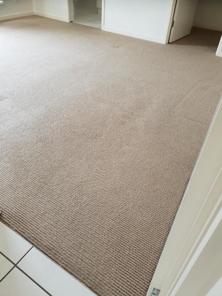 Carpet After — Carpet Cleaning Services in Norman Gardens, QLD