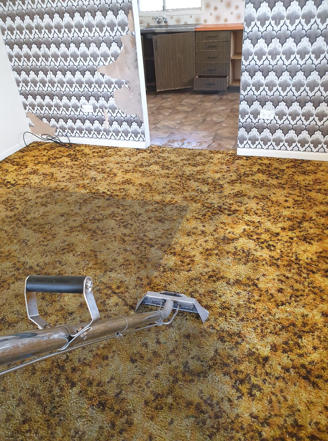 Cleaning Carpet With Vacuum — Magic Mist Carpet Cleaning in Norman Gardens, QLD