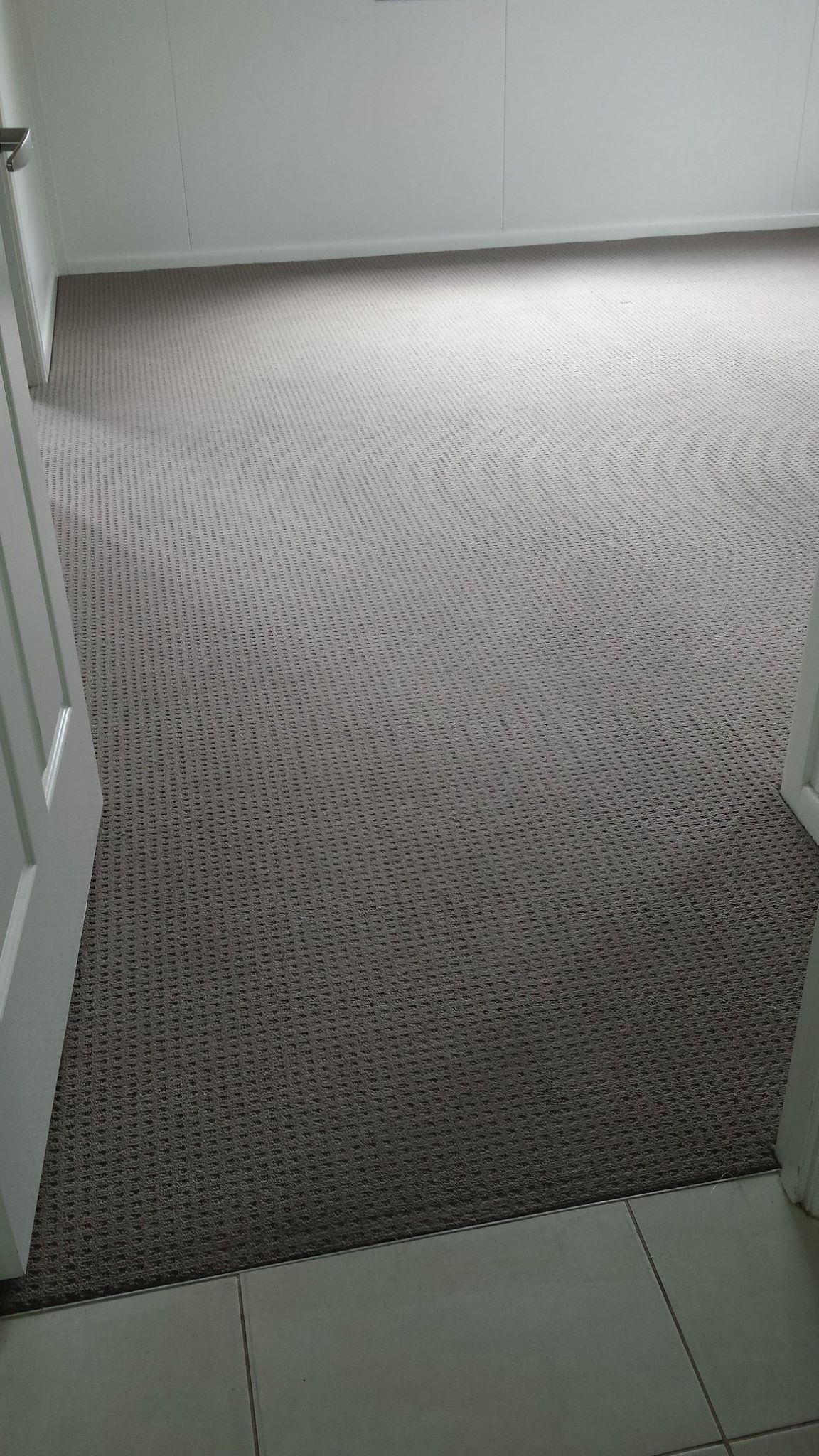 Carpet After Cleaning — Carpet Cleaning Services in Norman Gardens, QLD