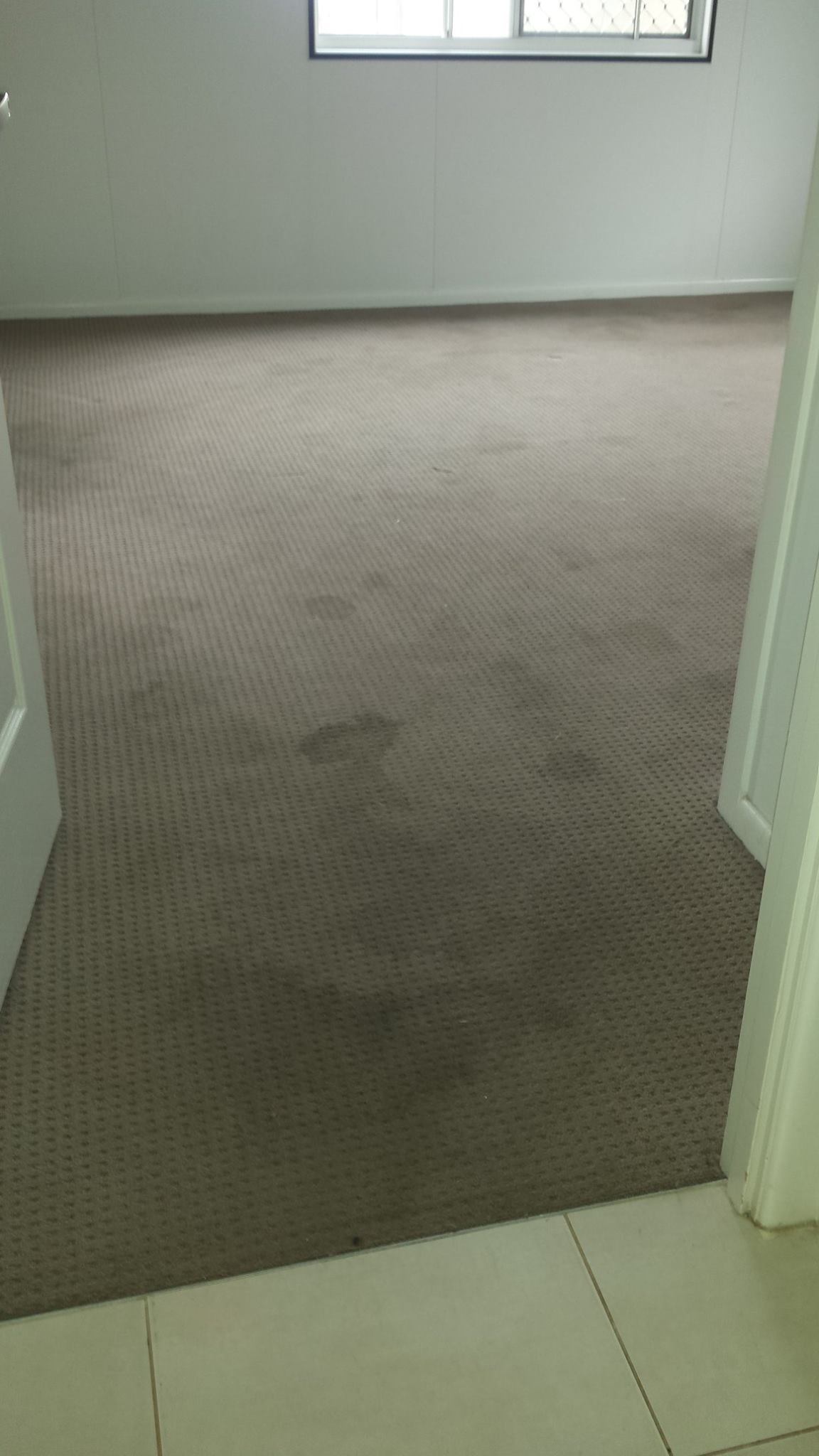 Carpet Before Cleaning — Carpet Cleaning Services in Norman Gardens, QLD