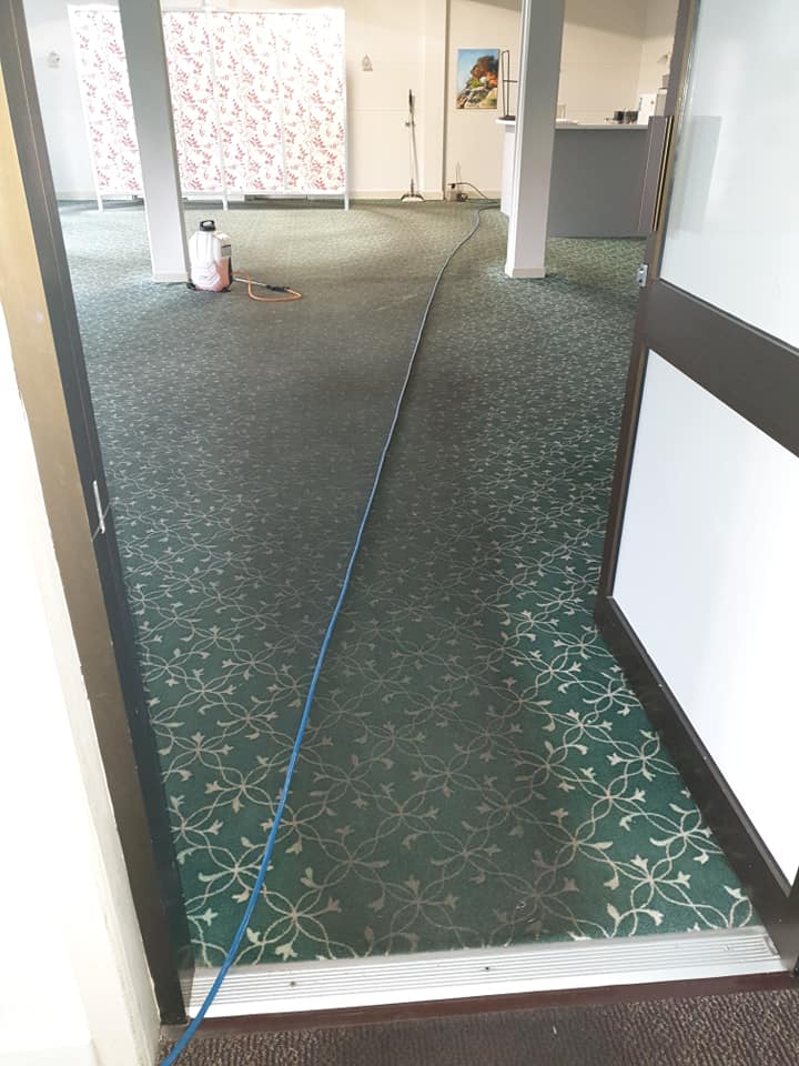 Before Carpet Cleaning — Magic Mist Carpet Cleaning in Norman Gardens, QLD