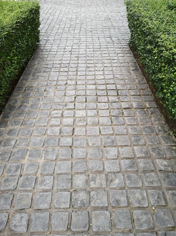 Picture of a stamped concrete walkway in the backyard of a house in Kingston Ontario.