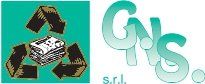 gns logo