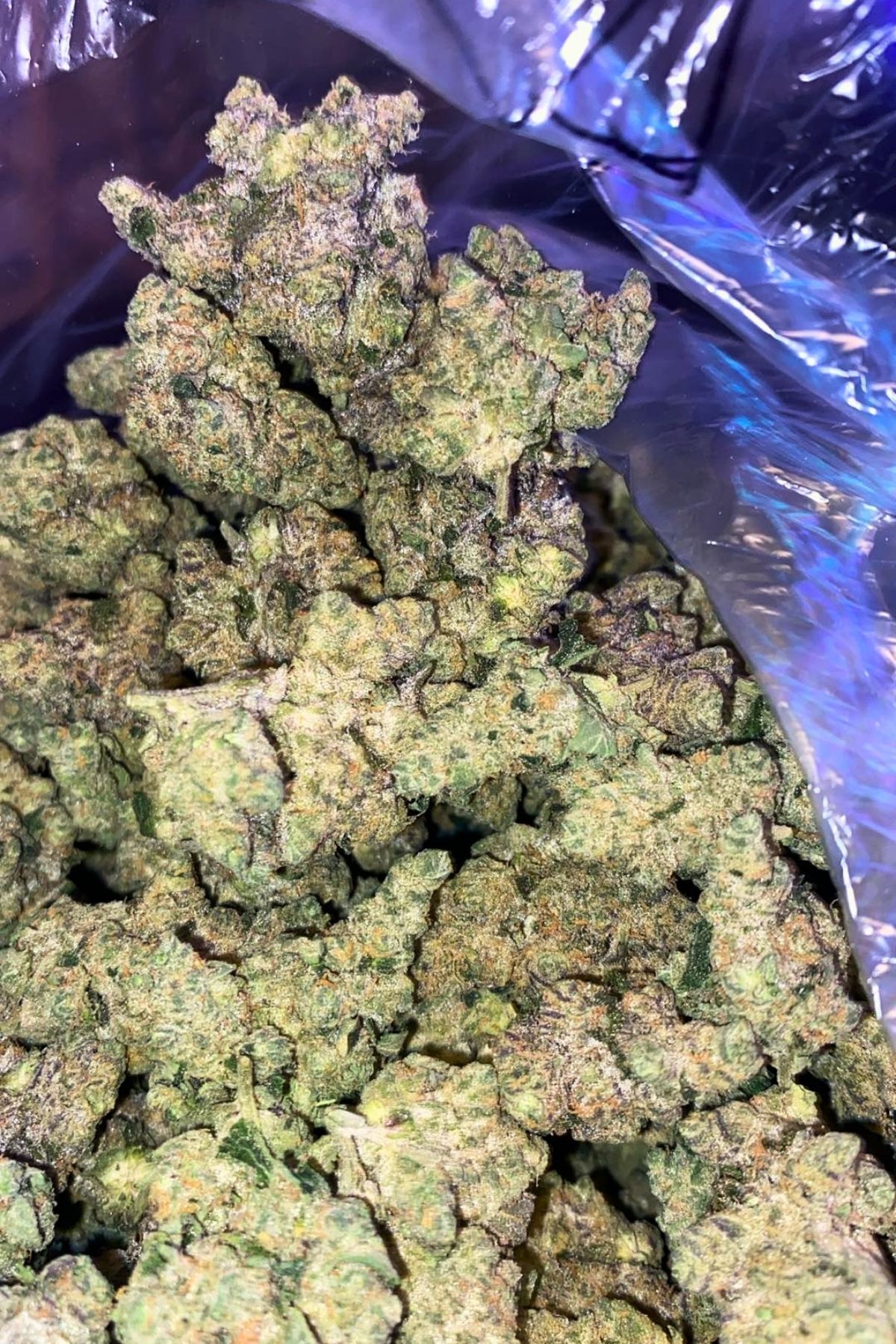 Money Over Bitches (M.O.B)