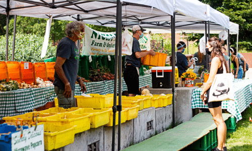 A group of people are shopping at a farmers market.