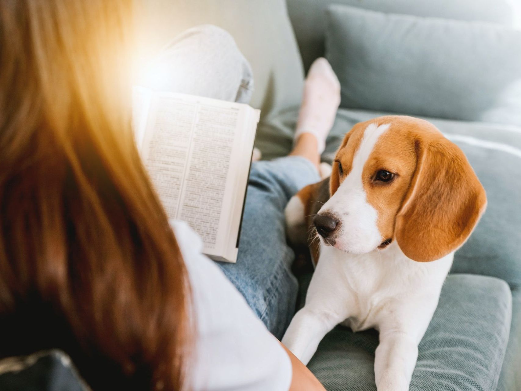 A woman is sitting on a couch reading a book to her dog.