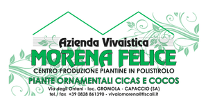 Azienda vivaistica Morena Felice - logo