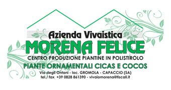 Azienda vivaistica Morena Felice - logo