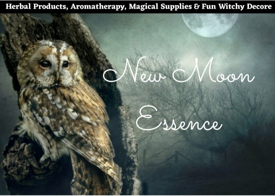 An owl is sitting on a tree branch in front of a full moon, New Moon Essence.