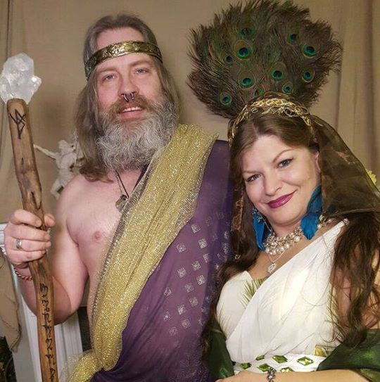 A close up of a bunch of peacock feathers