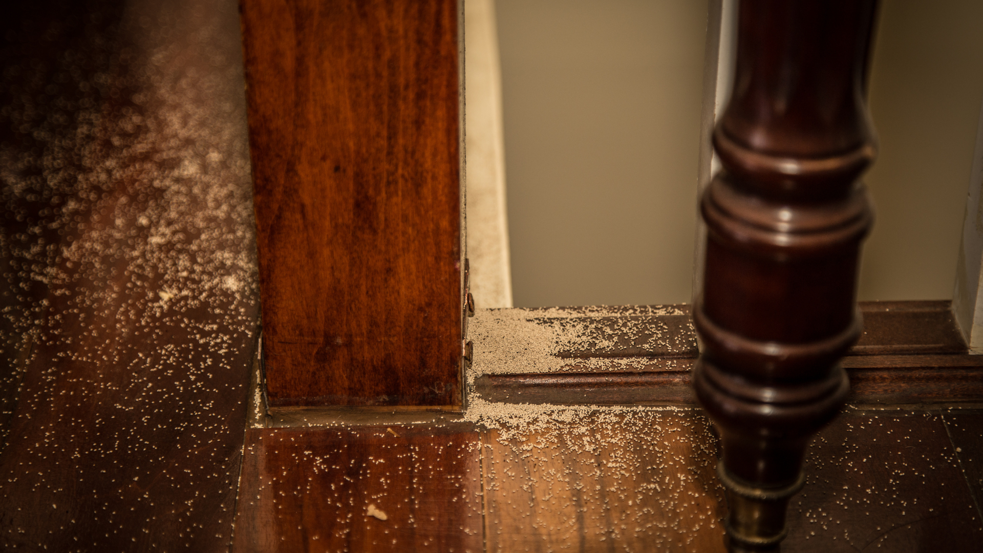 Termite droppings on wooden floorboards surrounding a wooden beam and a dark brown stair rail.