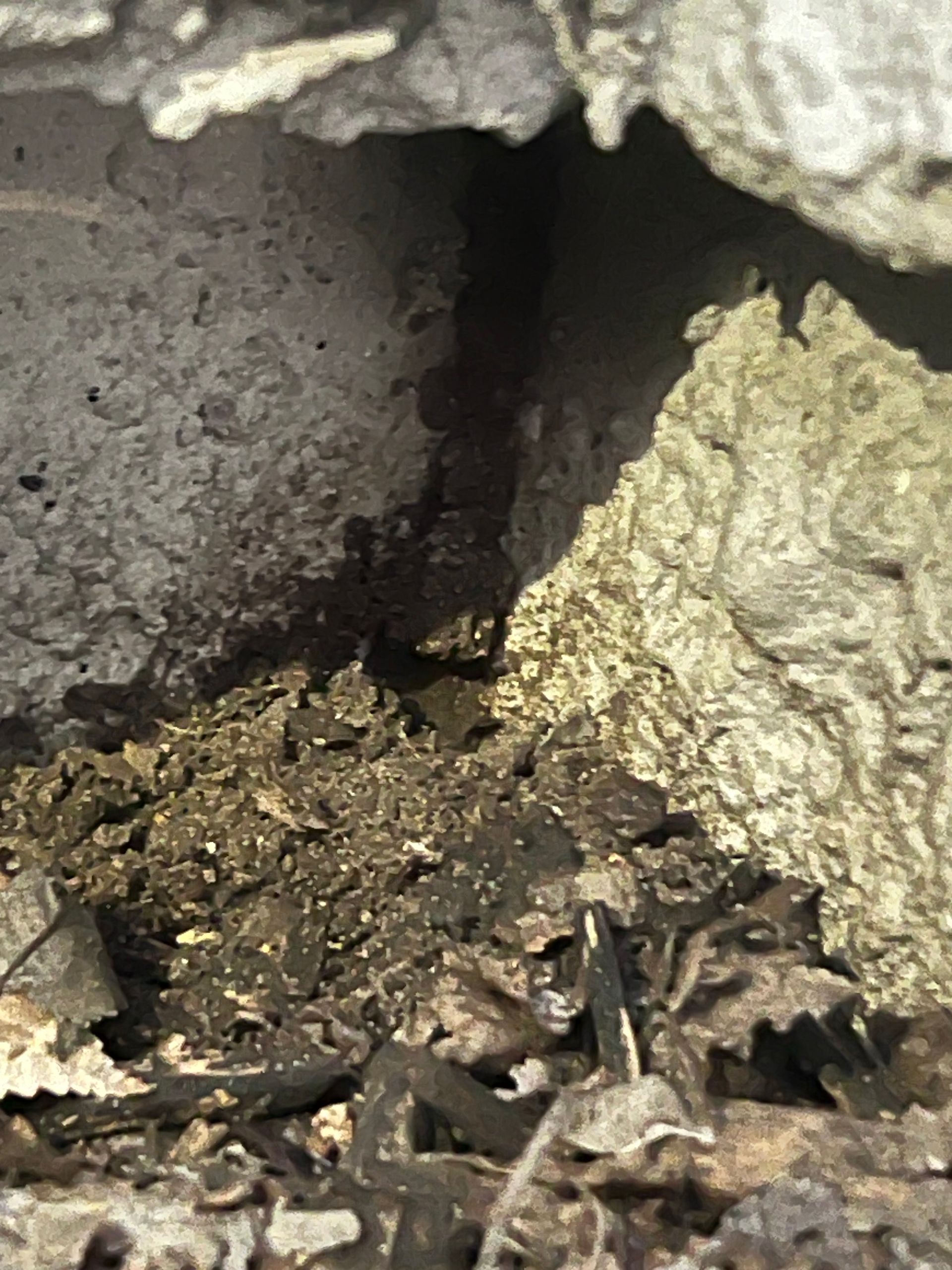 Close-up view of dark, crumbling material within a concrete structure. The material appears to be debris with black stains and a rough texture.