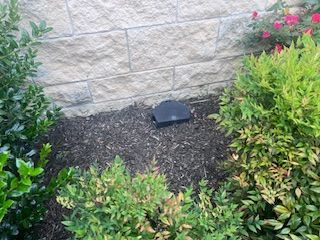 A black box sits in a bed of mulch surrounded by green bushes and a beige stone wall.