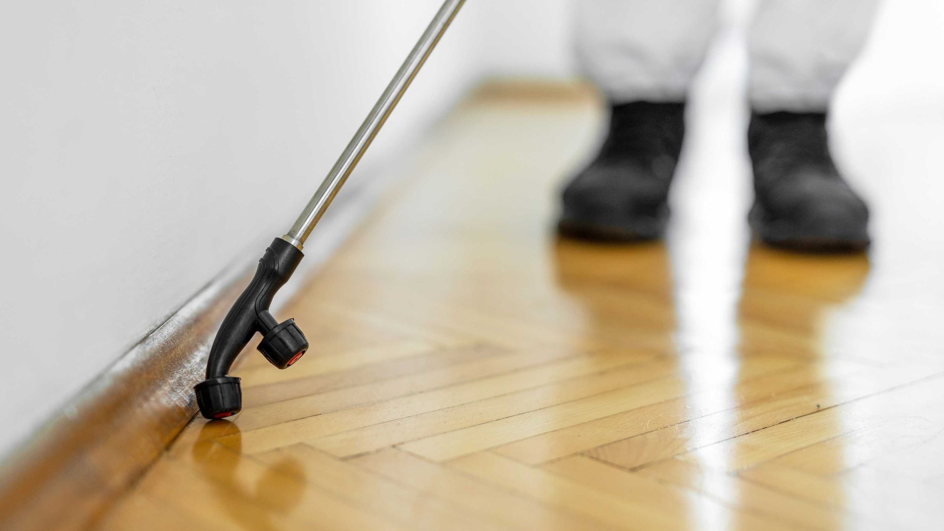 Commercial Pest Services img